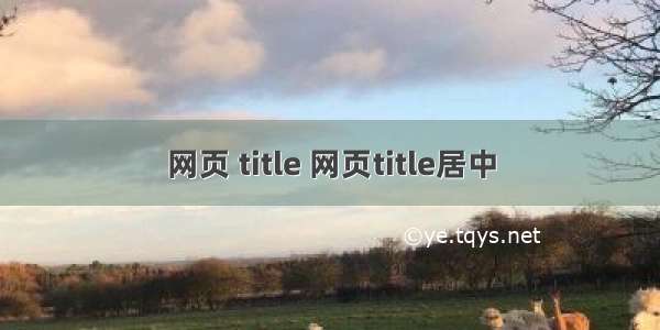 网页 title 网页title居中