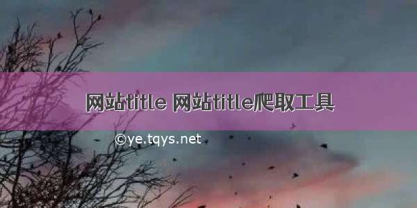 网站title 网站title爬取工具