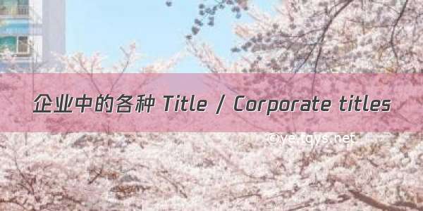 企业中的各种 Title / Corporate titles