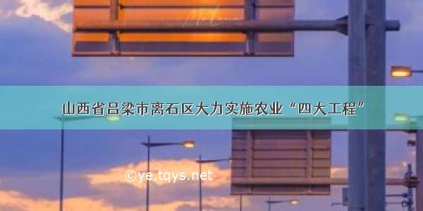 山西省吕梁市离石区大力实施农业“四大工程”