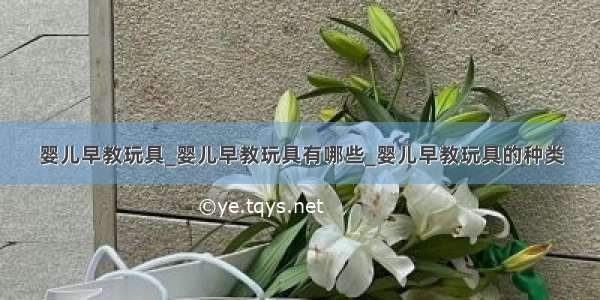 婴儿早教玩具_婴儿早教玩具有哪些_婴儿早教玩具的种类