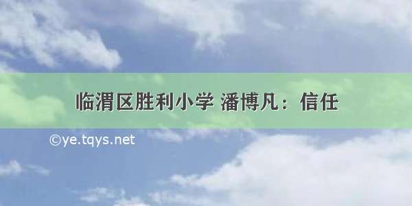 临渭区胜利小学 潘博凡：信任