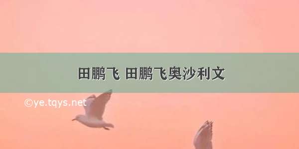 田鹏飞 田鹏飞奥沙利文