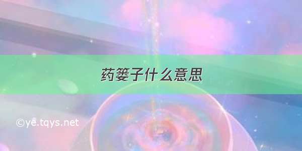 药篓子什么意思