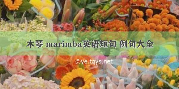 木琴 marimba英语短句 例句大全