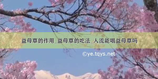 益母草的作用_益母草的吃法_人流能喝益母草吗