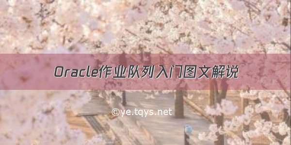 Oracle作业队列入门图文解说