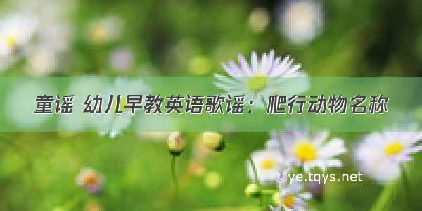 童谣 幼儿早教英语歌谣：爬行动物名称