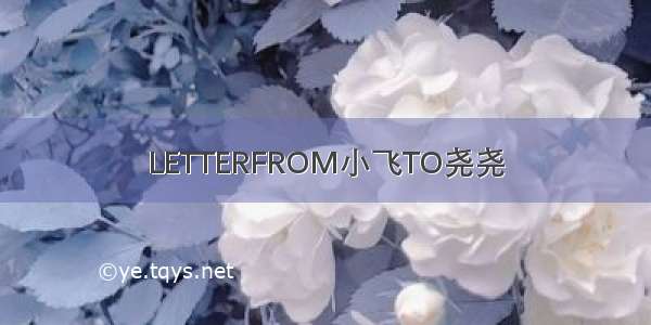 LETTERFROM小飞TO尧尧