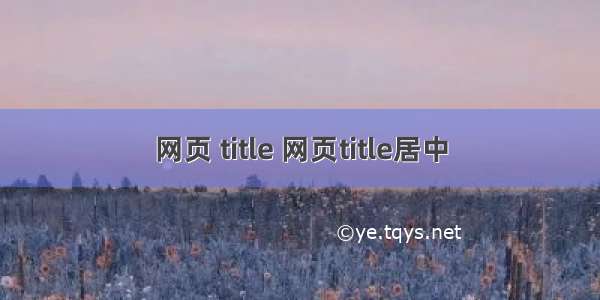 网页 title 网页title居中