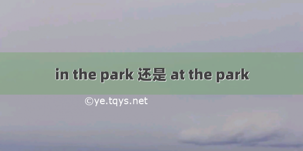 in the park 还是 at the park