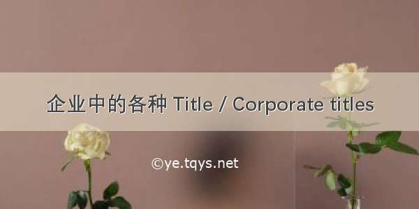 企业中的各种 Title / Corporate titles