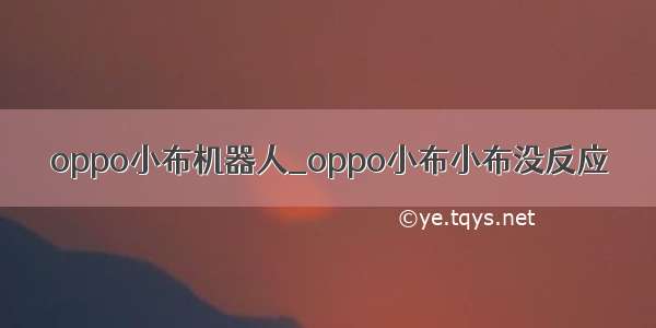 oppo小布机器人_oppo小布小布没反应