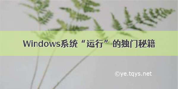 Windows系统“运行”的独门秘籍