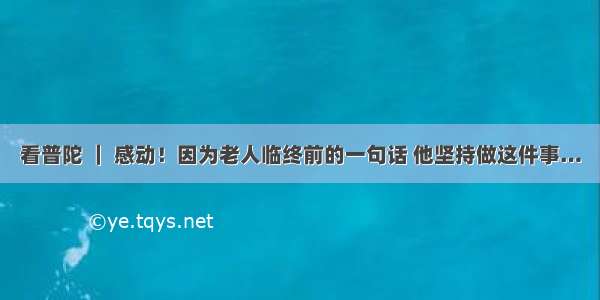 看普陀 ｜ 感动！因为老人临终前的一句话 他坚持做这件事…