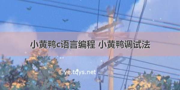 小黄鸭c语言编程 小黄鸭调试法