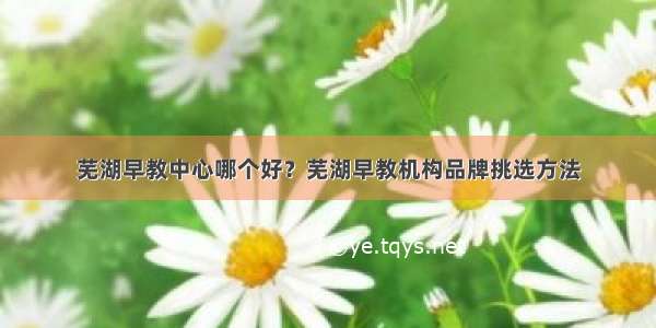 芜湖早教中心哪个好？芜湖早教机构品牌挑选方法