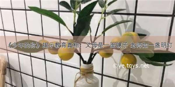 《少年的你》揭示教育真相：父母是一面镜子 老师如一盏明灯