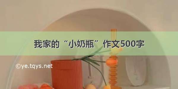 我家的“小奶瓶”作文500字