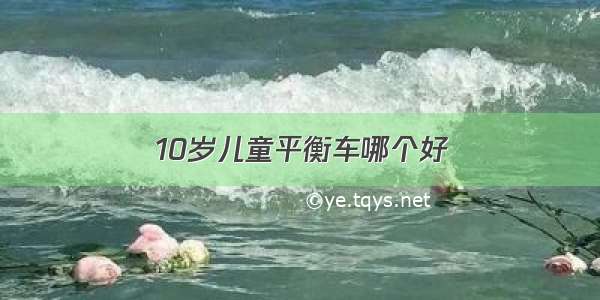 10岁儿童平衡车哪个好