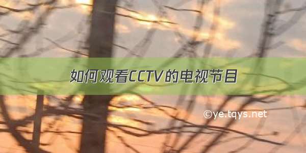 如何观看CCTV的电视节目