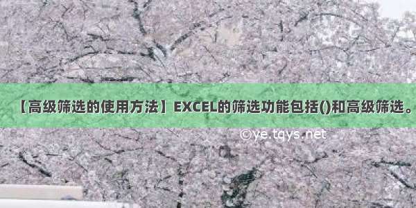 【高级筛选的使用方法】EXCEL的筛选功能包括()和高级筛选。