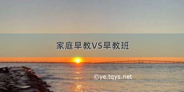 家庭早教VS早教班