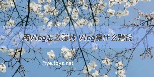 用Vlog怎么赚钱 Vlog靠什么赚钱