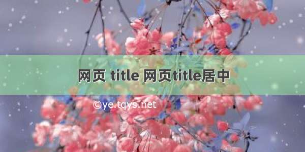 网页 title 网页title居中