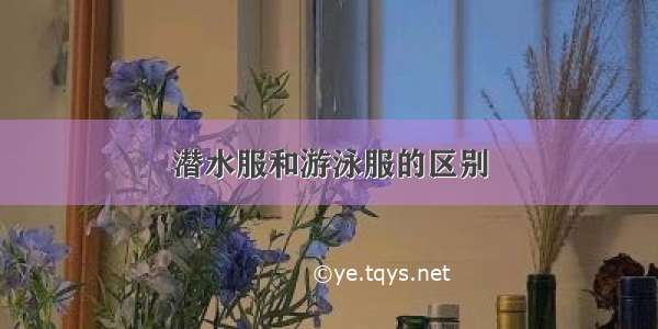 潜水服和游泳服的区别