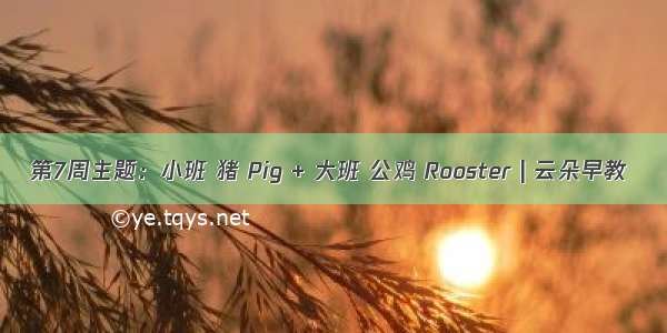 第7周主题：小班 猪 Pig + 大班 公鸡 Rooster | 云朵早教