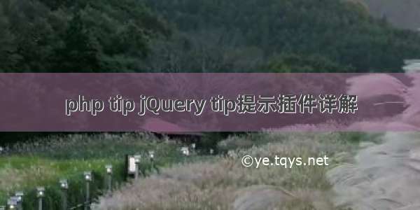 php tip jQuery tip提示插件详解