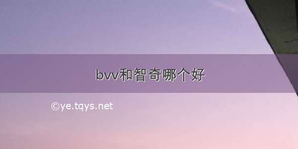 bvv和智奇哪个好