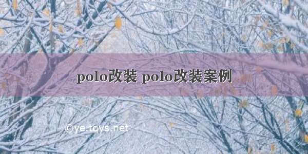 polo改装 polo改装案例