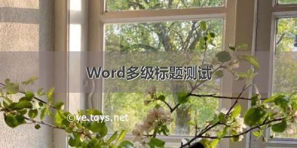 Word多级标题测试