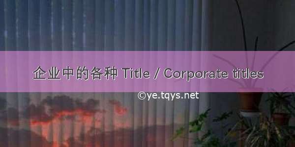 企业中的各种 Title / Corporate titles