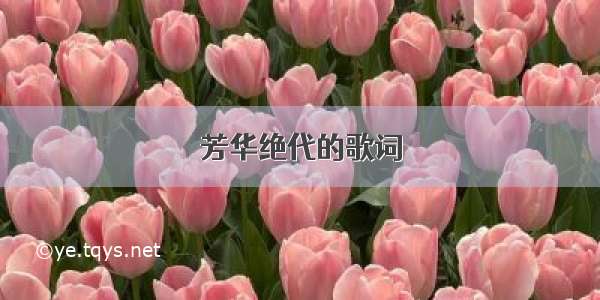 芳华绝代的歌词