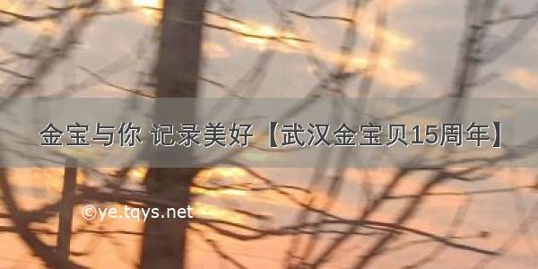 金宝与你 记录美好【武汉金宝贝15周年】