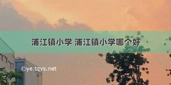 浦江镇小学 浦江镇小学哪个好