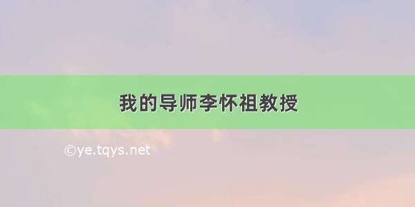 我的导师李怀祖教授