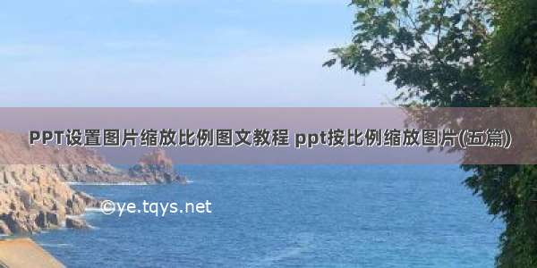 PPT设置图片缩放比例图文教程 ppt按比例缩放图片(五篇)