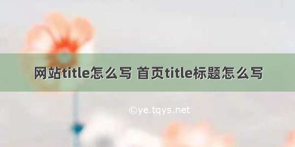 网站title怎么写 首页title标题怎么写