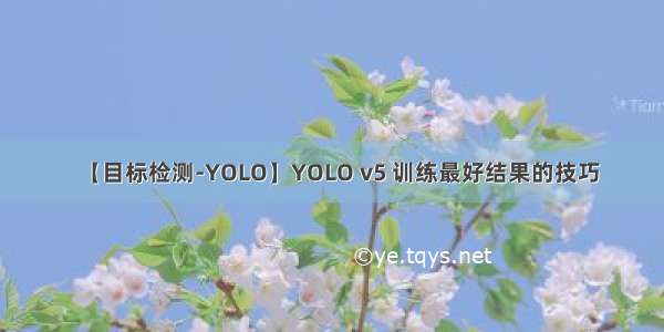 【目标检测-YOLO】YOLO v5 训练最好结果的技巧