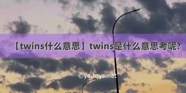 【twins什么意思】twins是什么意思考呢?