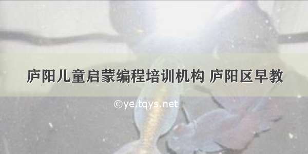 庐阳儿童启蒙编程培训机构 庐阳区早教