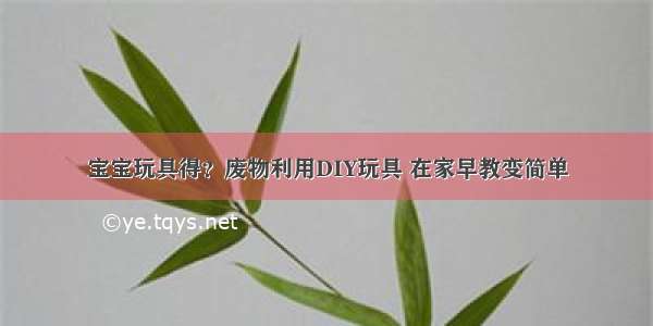 宝宝玩具得？废物利用DIY玩具 在家早教变简单