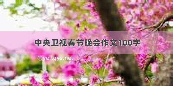 中央卫视春节晚会作文100字