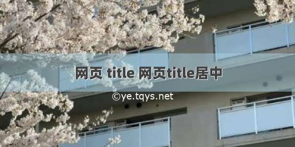 网页 title 网页title居中