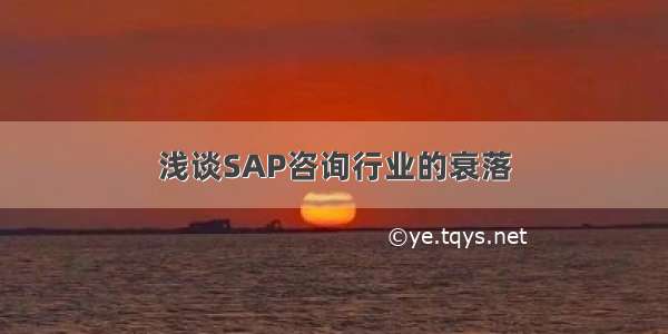 浅谈SAP咨询行业的衰落