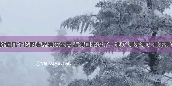 价值几个亿的翡翠满汉全席 看得口水流了一地了 有木有？有木有？